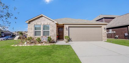 16352 Olive Sparrow Drive, Conroe