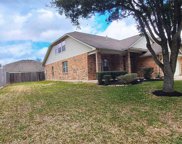 9507 Mustang Park Court, Humble image