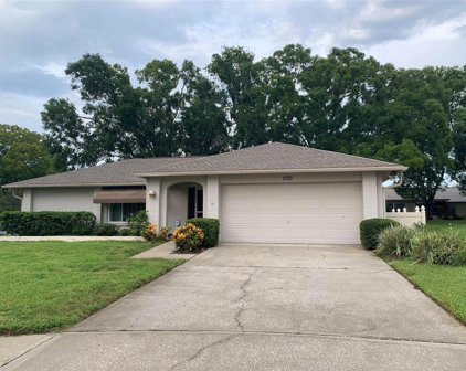 1731 Dugall Court, Palm Harbor