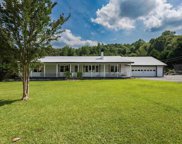 233 Village Springs Road, Springville image