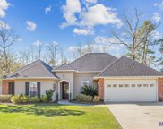 14423 Lake Crossing Dr, Gonzales image