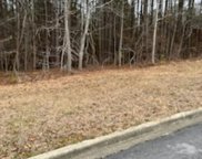 Maynor Lane Unit 32, Oneonta image