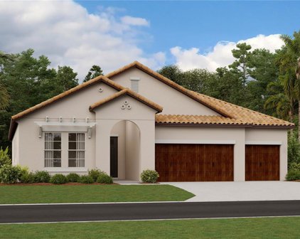 17173 Scuba Crest Street, Wimauma