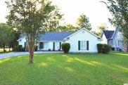 2401 Pinehurst Ln., Conway image