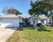 1407 Island Cove Drive, Deland image