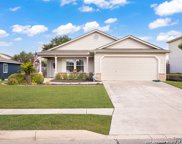 152 Weeping Willow, Cibolo image