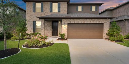 9222 Lair Cove Drive, Cypress