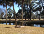 Hilton Head Island image