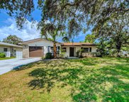 1409 Gladys Circle, Dunedin image