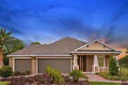 7387 Bradbury Circle, Wesley Chapel image