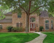 31 Shadeberry Place, The Woodlands image