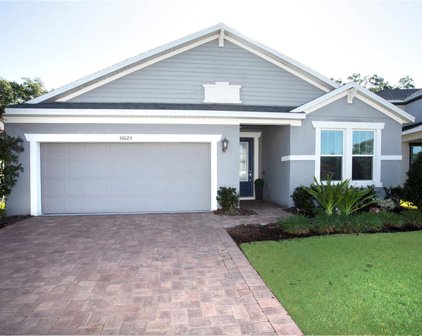 10623 Cardera Drive, Riverview