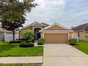 13714 Trinity Leaf Place, Riverview image