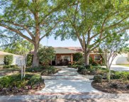 6657 Bougainvilla Avenue S, St Petersburg image