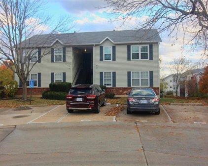 149 Old Buggy  Court Unit #B, St Peters