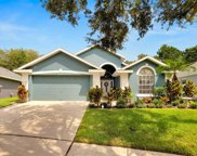 16806 Hawkridge Road, Lithia image