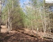 Tract 3 Lake Valley Drive, Ennice image