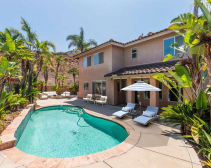 2507 Fresh Waters Ct, Spring Valley