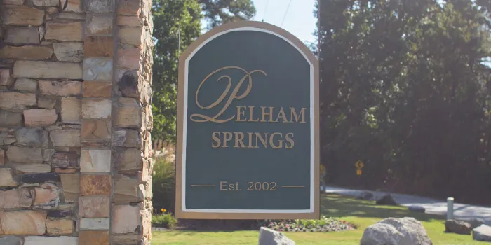 Homes for Sale in Pelham Springs