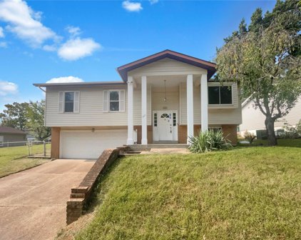 340 Pegasus  Drive, St Louis