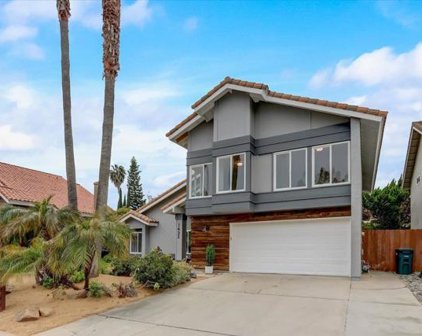 1432 Linda Sue Lane, Encinitas