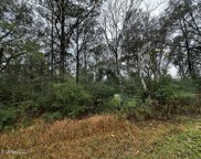 Jackson County Line Rd. 10acre, Lucedale image