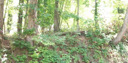 NC Highway 135, Eden