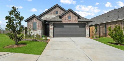 2530 Alder Wood Lane, Katy