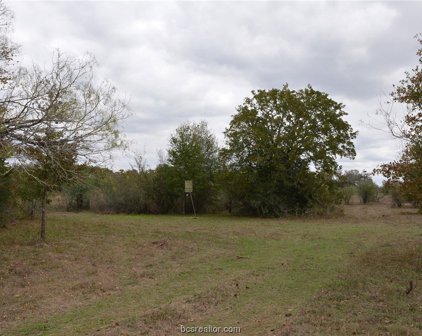 0010 Fawn Oaks, Iola