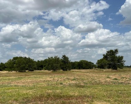 Lot 45 & 46 Back Nine Lane, Navasota