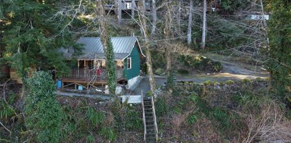 51903 S Riverside Road, Gold Bar