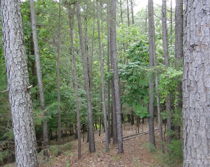 12020 Baywoods  Drive, Tega Cay