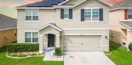10011 Geese Trail Circle, Sun City Center