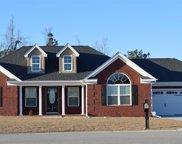 220 Grassy Meadow Ct., Galivants Ferry image