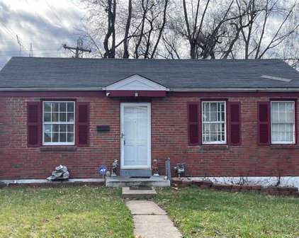7212 Ruddy  Lane, St Louis