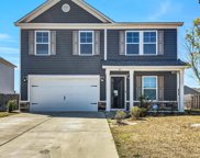 87 Texas Black Way, Elgin image