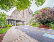 250 Hammond Pond Pkwy Unit 305S, Newton image