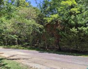 Cedar Creek Road Unit 12804, Odenville image