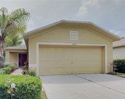 18173 Canal Pointe Street, Tampa image