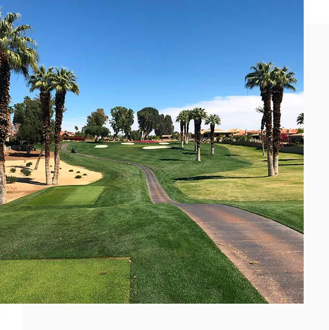 palm desert homes for sale