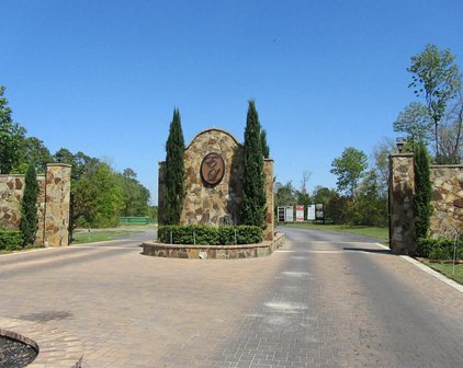 14619 Sterling Court, Willis