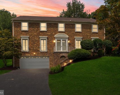 11233 Fall River Ct, Potomac