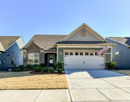5217 Sweet Fig  Way, Fort Mill image