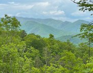 LOT 5 Butternut Ridge, Bryson City image