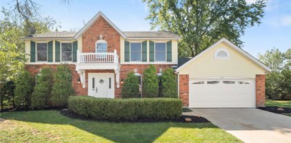 16412 Monroe Knoll  Court, Wildwood