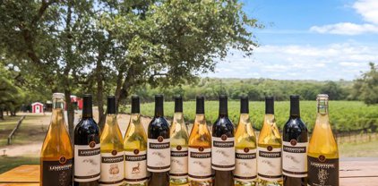 101 Rocky Meadow Ln, Wimberley