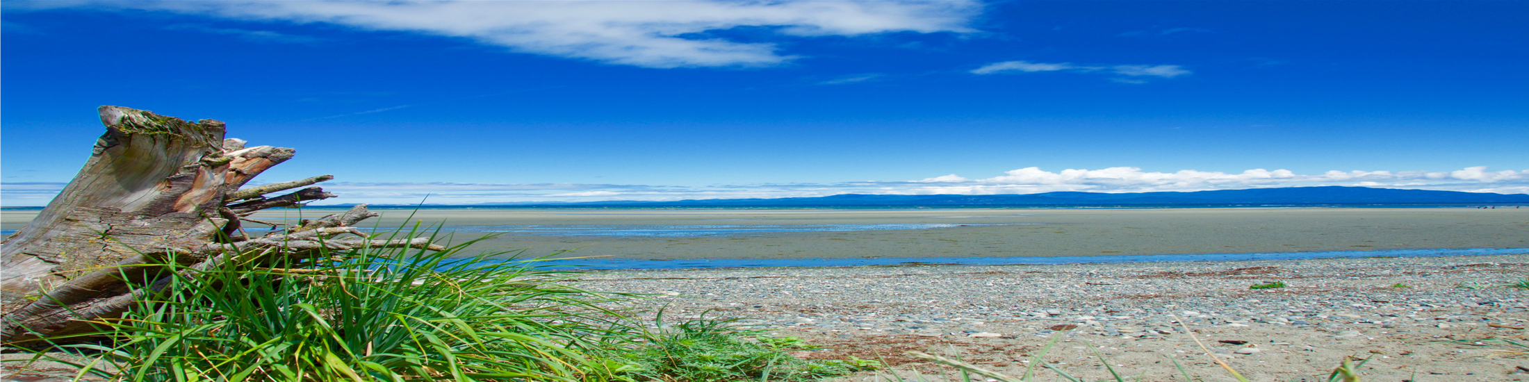 Favorite Restaurants  Parksville - Qualicum Beach