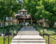215 Barry Avenue S Unit #219, Wayzata image