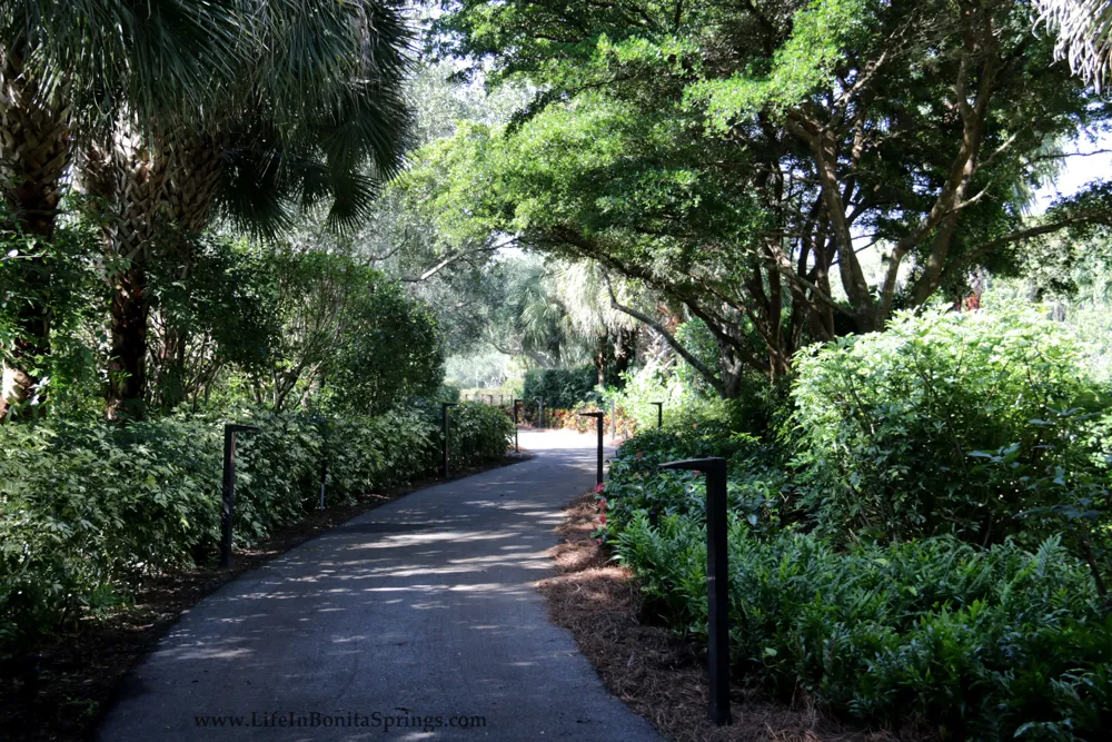 Magnolia Bend at Shadow Wood