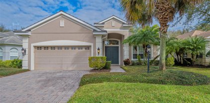 12327 Thornhill Court, Lakewood Ranch